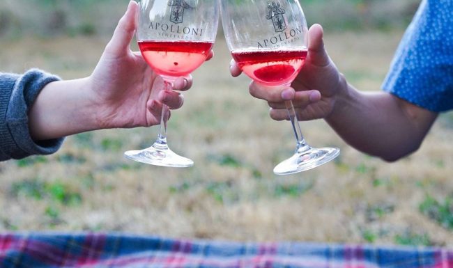 Toasting with Apolloni Vineyards rosé