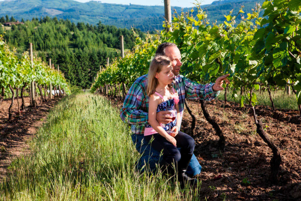 Father and daughter in the vineyard