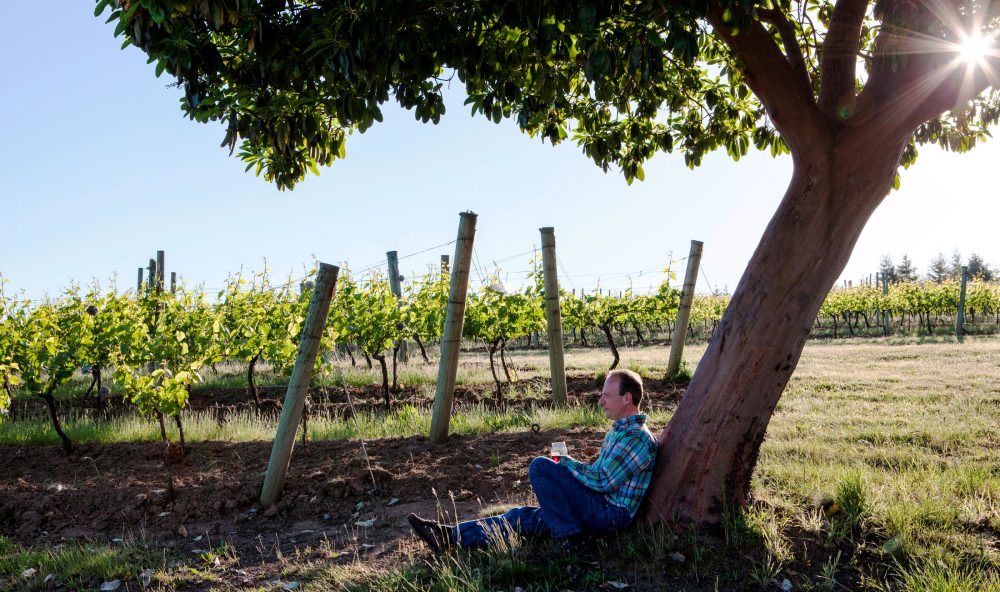 Alfredo Apolloni sitting against a tree trunk in the vineyard