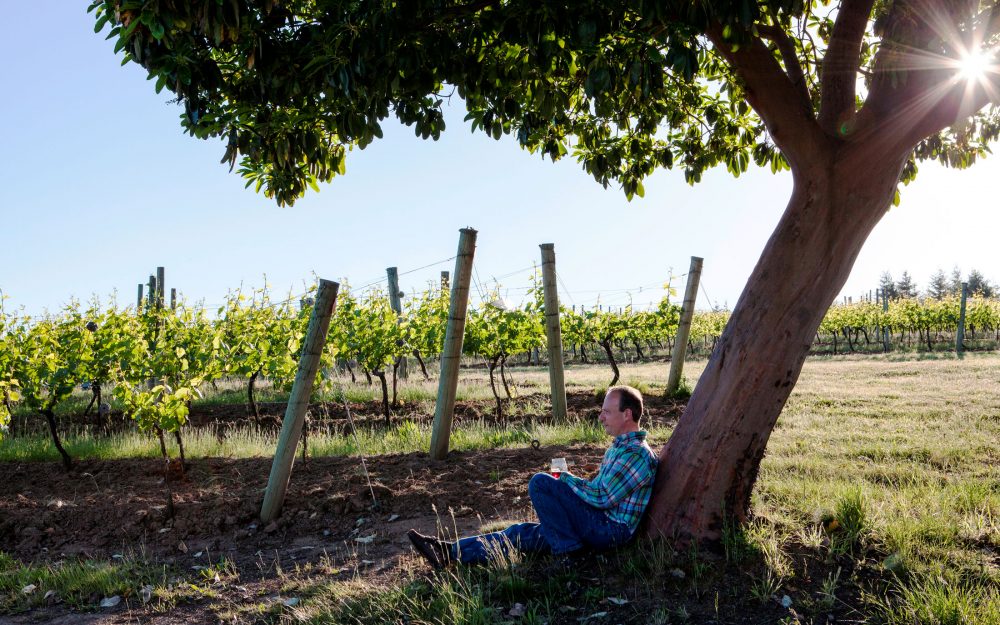 Alfredo Apolloni sitting against a tree trunk in the vineyard