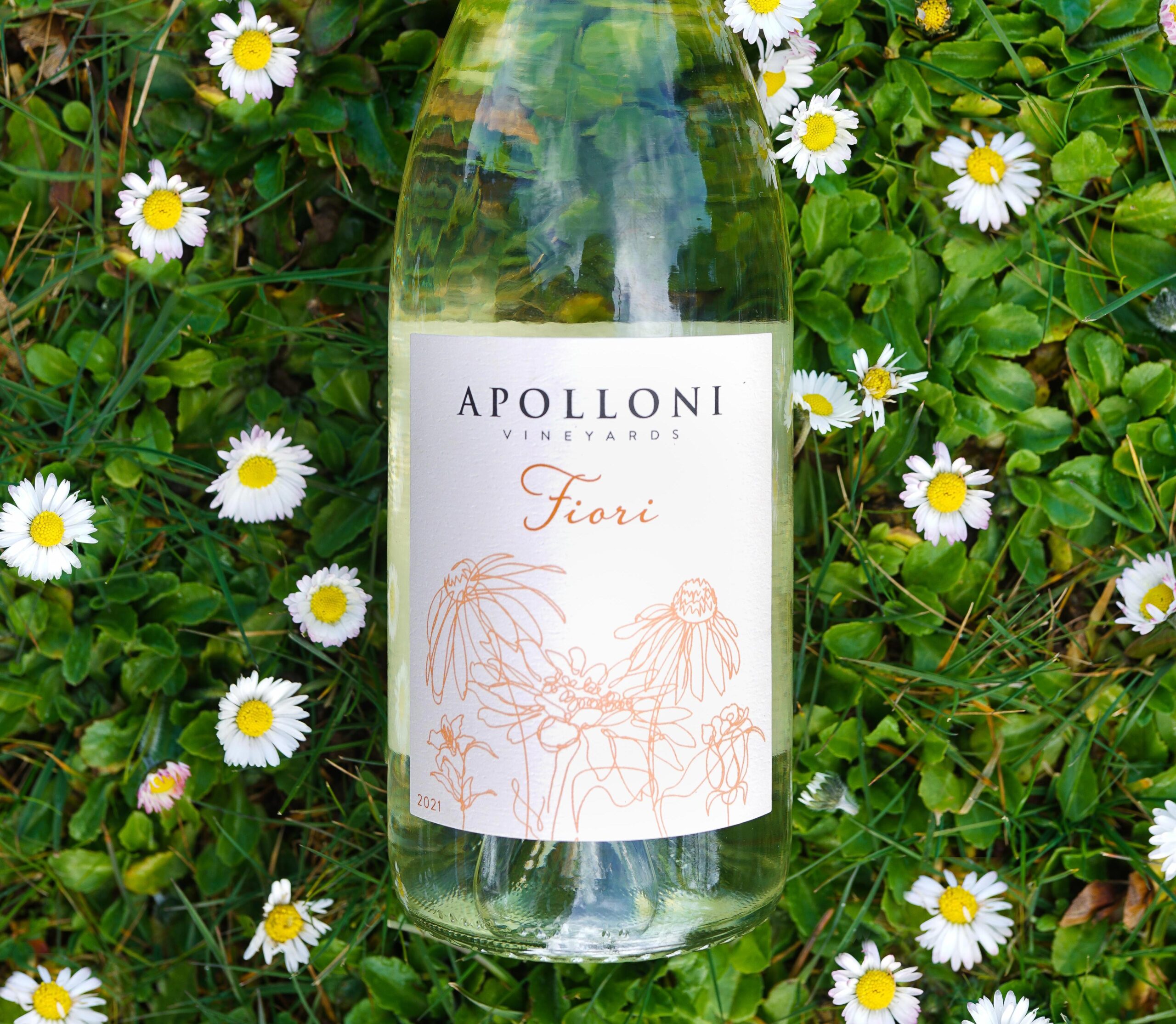 Apolloni Vineyards white wine with daisies
